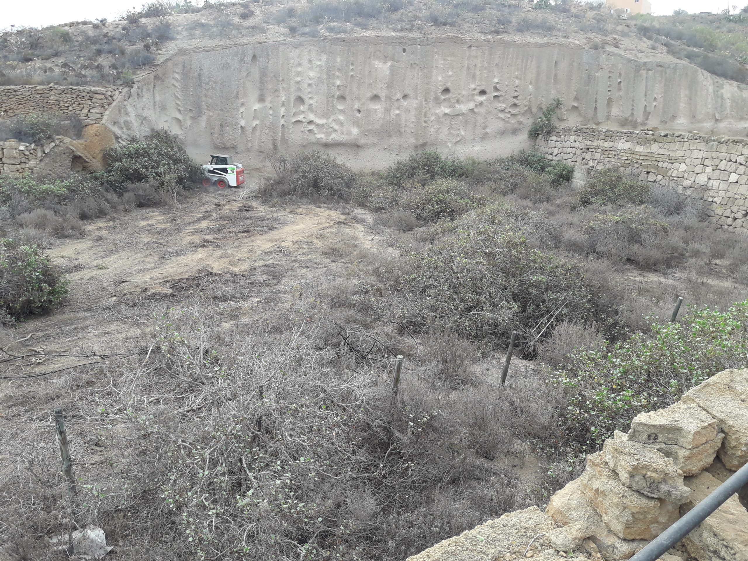 Bobcat Feld 1 Bobcat Feld 1