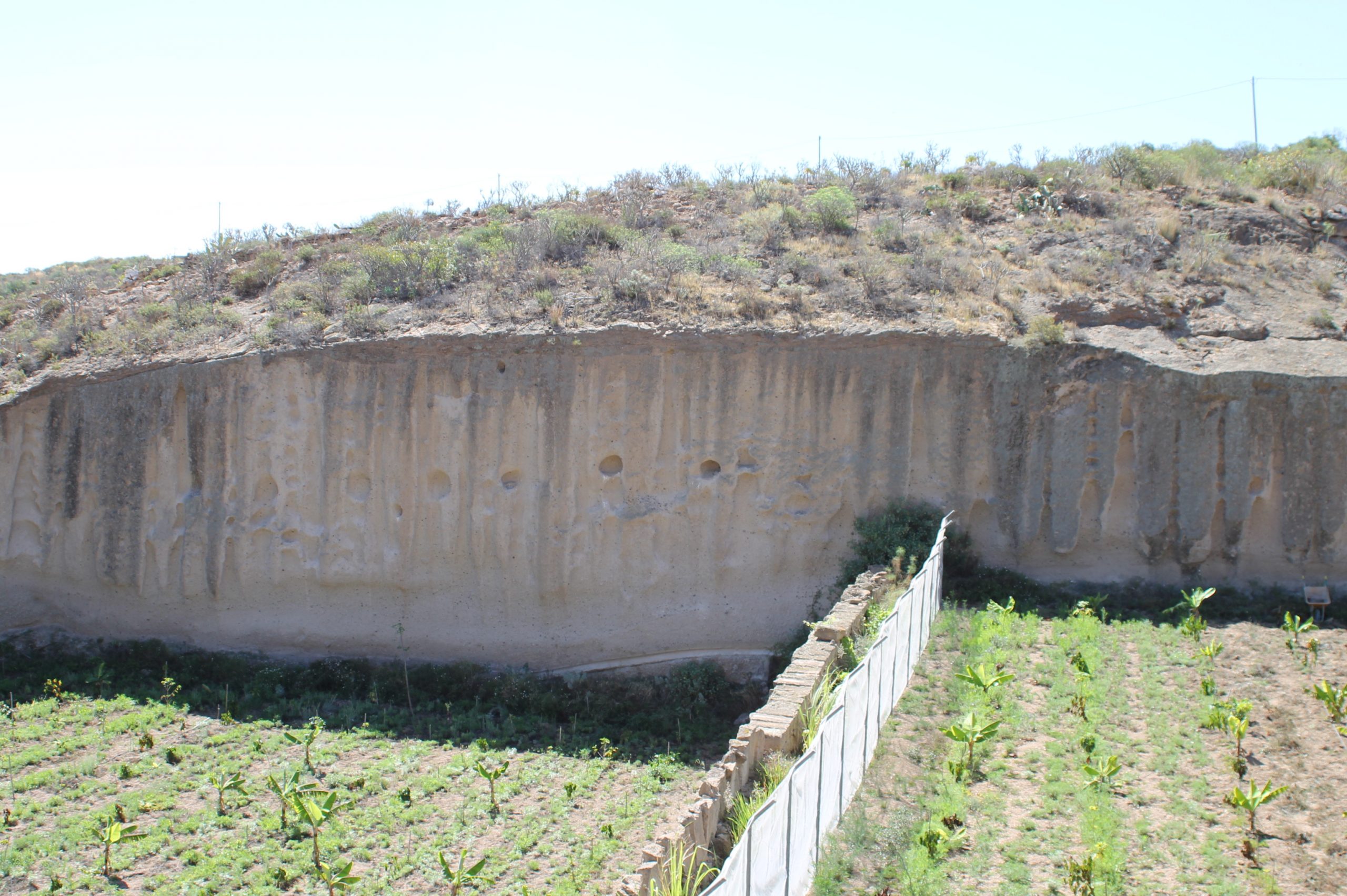 Feld 2