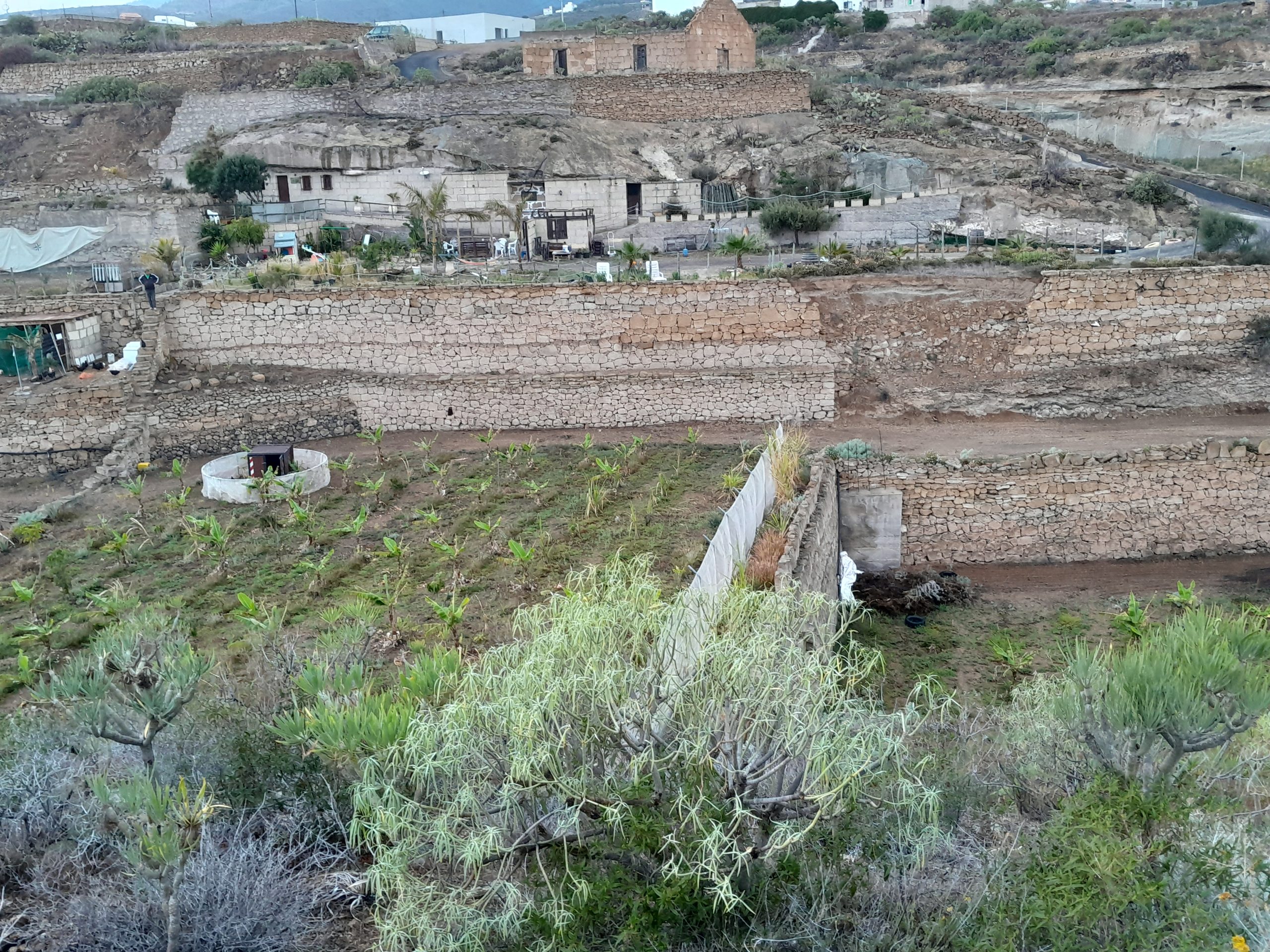 Finca und Feld 1 u 2 Pista